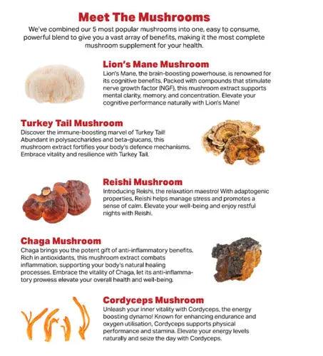 Functional Mushrooms - Blue & Well