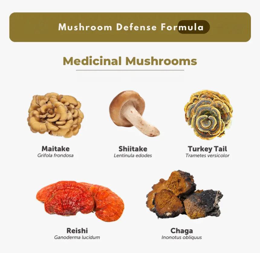 Medicinal-Benefits-of-Mushrooms Blue & Well